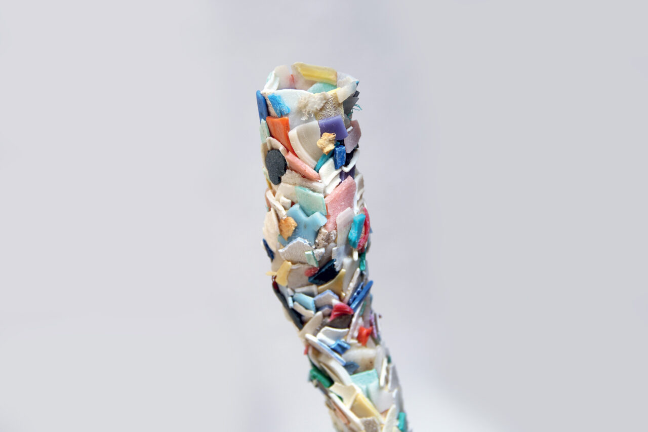 Palaeontological Plastic IV (2014), Studio view, Brussels, Belgium, 2014 (photo: Maarten Vanden Eynde)
