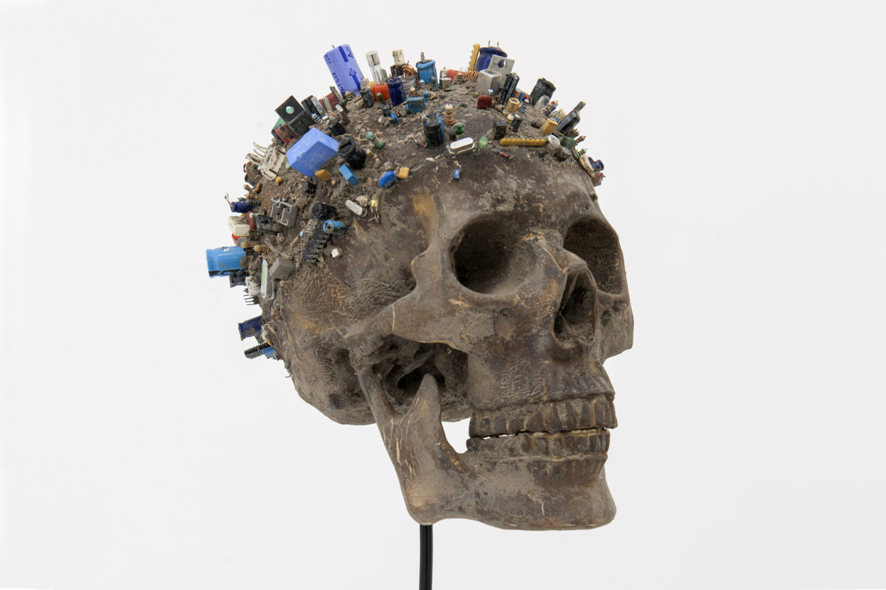 The Last Human [skull] (2017) Meessen De Clercq, Brussels, Belgium, 2019 (photo: Philippe De Gobert)