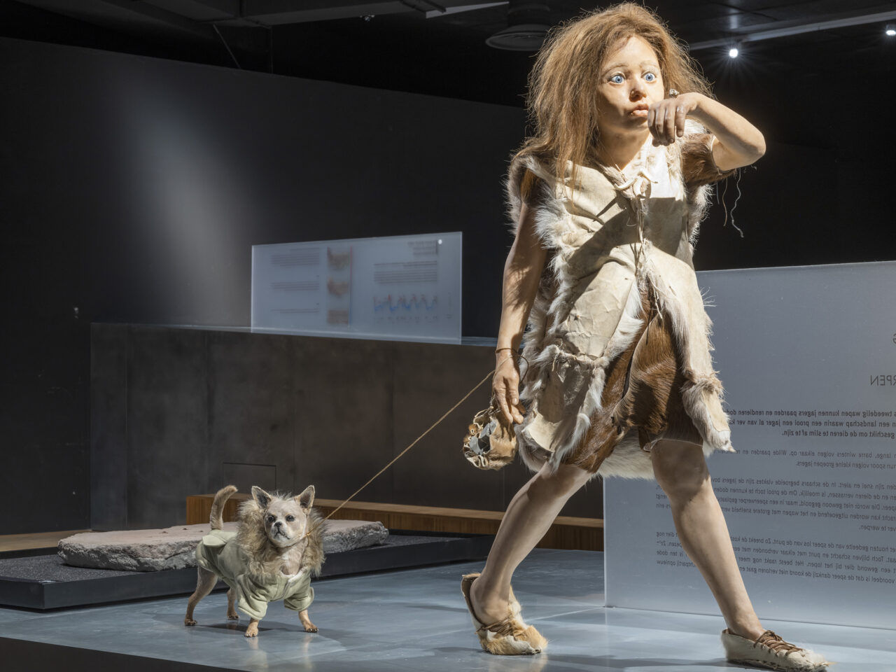 Chihuahua Footprints Discovered!, Gallo-Roman Museum, Tongeren, Belgium, 2021