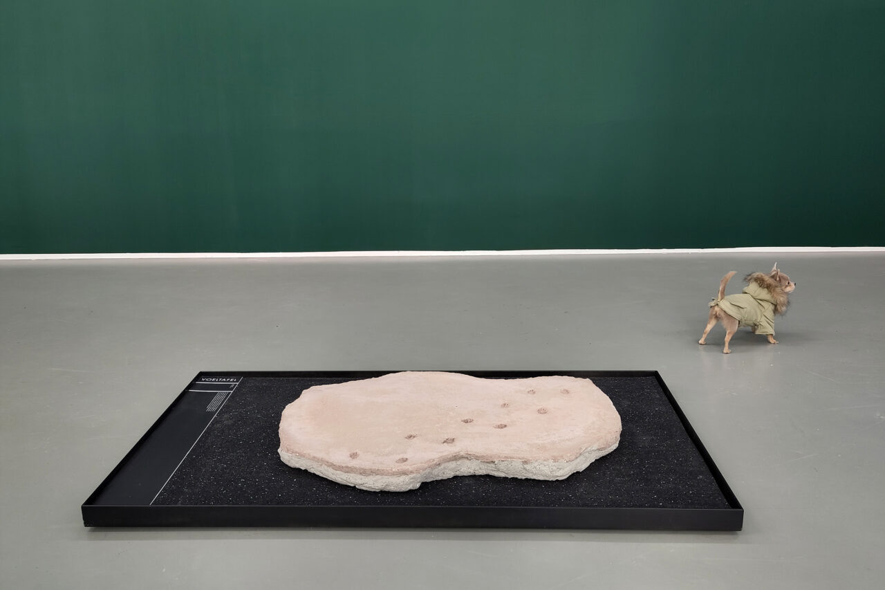 Chihuahua Footprints Discovered!, NOME gallery, Berlin, Germany, 2022