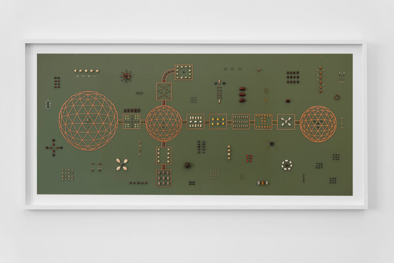 Future Flora: LUNA (2026), Meessen gallery, Brussels, Belgium (photo: Alice Pallot)