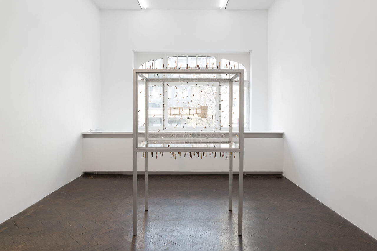 Little Boy 3D (2026), Meessen gallery, Brussels, Belgium (photo: Alice Pallot)